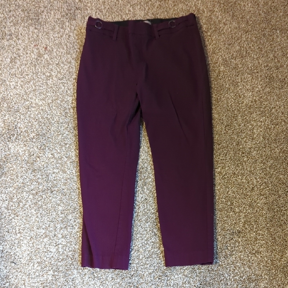 Deep Purple Dress Capris